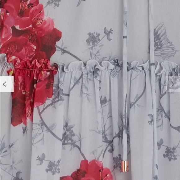 TED BAKER - Eriin Babylon Ruffle Dress - Picture 6 of 15